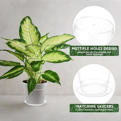 Baderke 3 Pack Clear Nursery Pot Plastic Nursery Pot Large Plant with Drainage Holes for Root Health Indoor Outdoor(8 Inches)