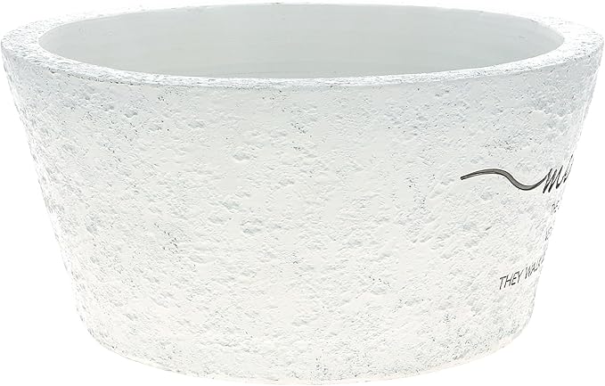 Pavilion Gift Company - The Ones We Love Never Go Away They Walk Beside Us Every Day - 9.5" Cardinal Flower Planter Pot Dish Bereavement in Memory Memorial Loss of Loved One Gift Funeral Present