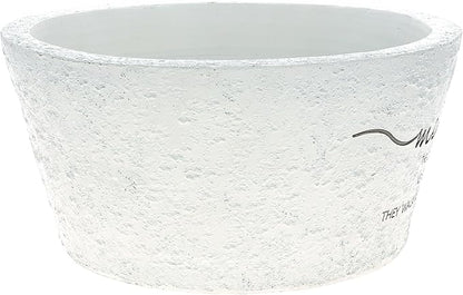 Pavilion Gift Company - The Ones We Love Never Go Away They Walk Beside Us Every Day - 9.5" Cardinal Flower Planter Pot Dish Bereavement in Memory Memorial Loss of Loved One Gift Funeral Present