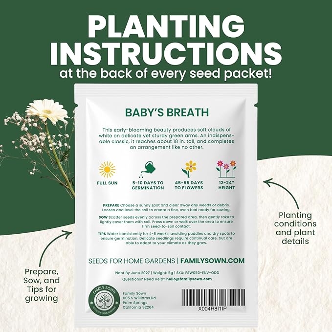 Baby’s Breath – 4,000 Seeds for Planting – 2026 Season – 5 Gram Pouch