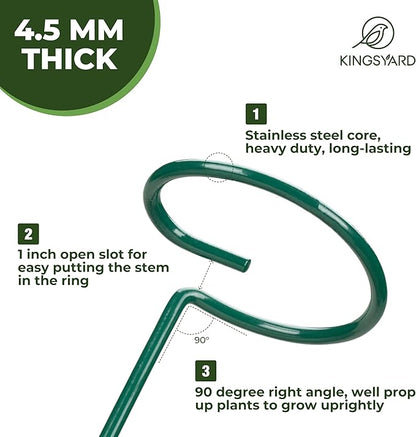 Kingsyard 24 Inch Plant Support Stake - 10 Pack, 4.5mm Thick All Metal Garden Plant Stakes Plant Prop for Single Stem Flowers Dahlia Amaryllis Orchid Lily Rose Peony Tomatoes Gladiolus