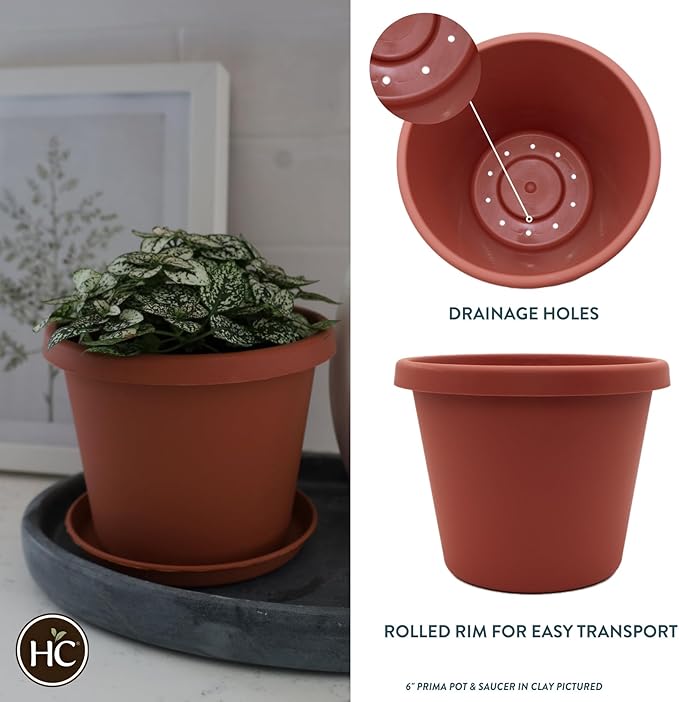 The HC Companies 12 Inch Round Prima Planter - Plastic Plant Pot with Rolled Rim for Indoor Outdoor Plants Flowers Herbs, Clay