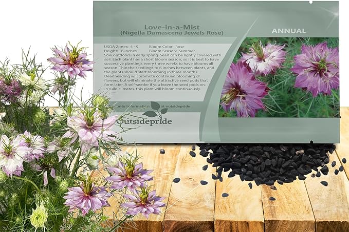 Outsidepride Jewels Rose Nigella Seeds - 1000 Pcs Annual Flower Seeds for Planting with Vibrant Blooms & Lacy, Fern-Like Foliage, Attractive Cut Flower for Small Garden Spaces & Floral Arrangements