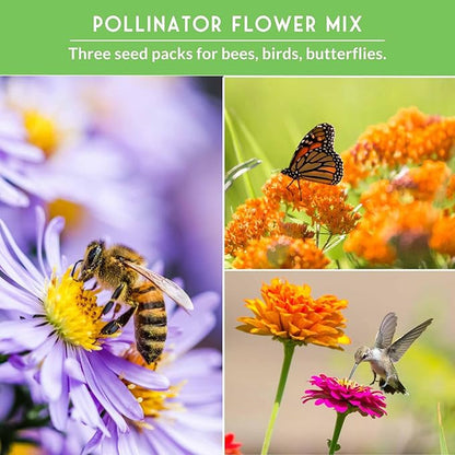 Heirloom Pollinator Flower Seeds 3 Pack for Planting - Attract Butterflies, Bees, Hummingbirds - Nectar & Pollen Rich Perennial & Annual Wildflowers for Pollinators - Survival Garden Seeds