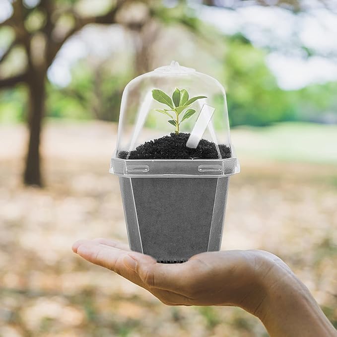 EBaokuup 10Pcs 4" Clear Plant Nursery Pots with Humidity Dome, Plastic Gardening Pot Plant Container, Seed Starting Pot with Drain Holes for Seedlings Vegetables Succulents Cuttings