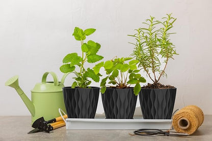 6 Inch Plant Pots, 6 Pack Indoor Flower Pots, Planters with Drainage Holes and Trays for Orchids, Violets, Succulents, Herbs, and Other Plants, Black