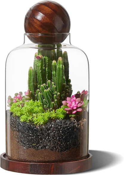 Yangbaga Large Glass Terrarium Succulent Plant Terrarium House for Plant/Moss Ball/Glass Fish Tank Table with Wood Base & Ball lid Office Home Decoration