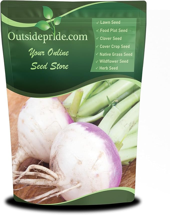 Outsidepride Purple Top Turnip Seeds - 10 Lbs High-Yield, High Protein Turnip Seed, Ideal Cover Crop, for Forage, Grazing Livestock, High Energy Deer Food Plot & Soil Improvement