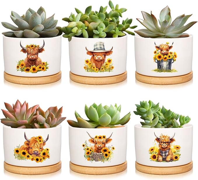 6Pcs Highland Cow Decor Gift Planter Rustic Cow Sunflower Ceramic Succulent Pots Animal Plant with Tray Appreciation Gift for Farmhouse Home Office Kitchen Bathroom, No Plants