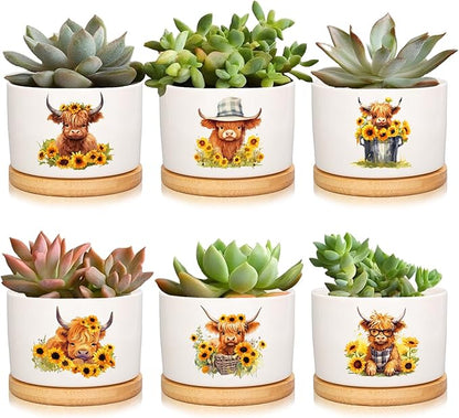 6Pcs Highland Cow Decor Gift Planter Rustic Cow Sunflower Ceramic Succulent Pots Animal Plant with Tray Appreciation Gift for Farmhouse Home Office Kitchen Bathroom, No Plants