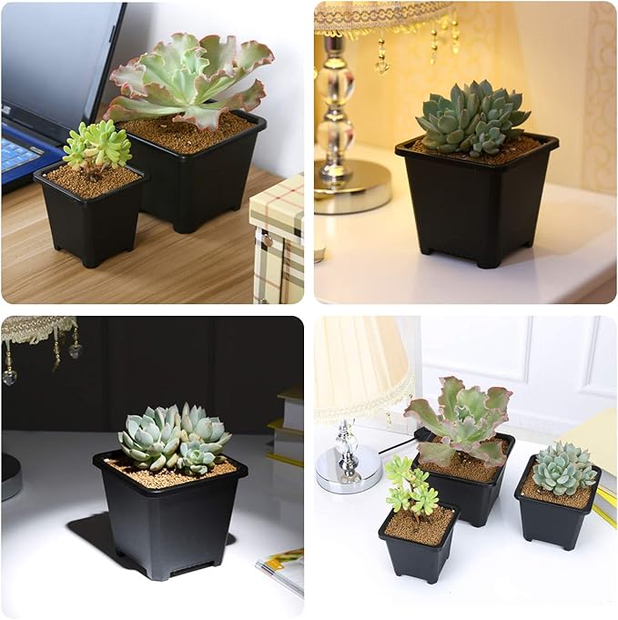 Pastic Nursery Pots Square Plant Pot 25 PCS Durable Balck Starter Container for Starting Seedlings or Succulents (4 Inch)