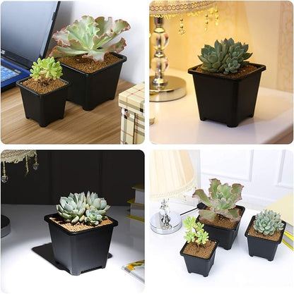 Pastic Nursery Pots Square Plant Pot 100 Pcs Durable Balck Starter Container for Starting Seedlings or Succulents (2.2 Inch)