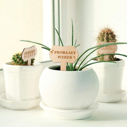 24 Pcs Funny Plant Makers Label Wooden Plant Sign Tag for Succulent Flower Greenery with Stake Interesting Word Cute Pattern Garden Marker for Outdoor Indoor Patio Supplies Gardener Novelty Gift
