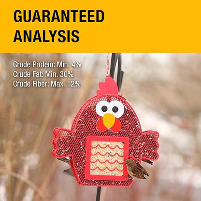 Heath Whimsical Chicken Suet 'n Seed Bird Feeder for Sunflower Seeds with 2 Free Bird's Blend Suet Cakes Included, Red