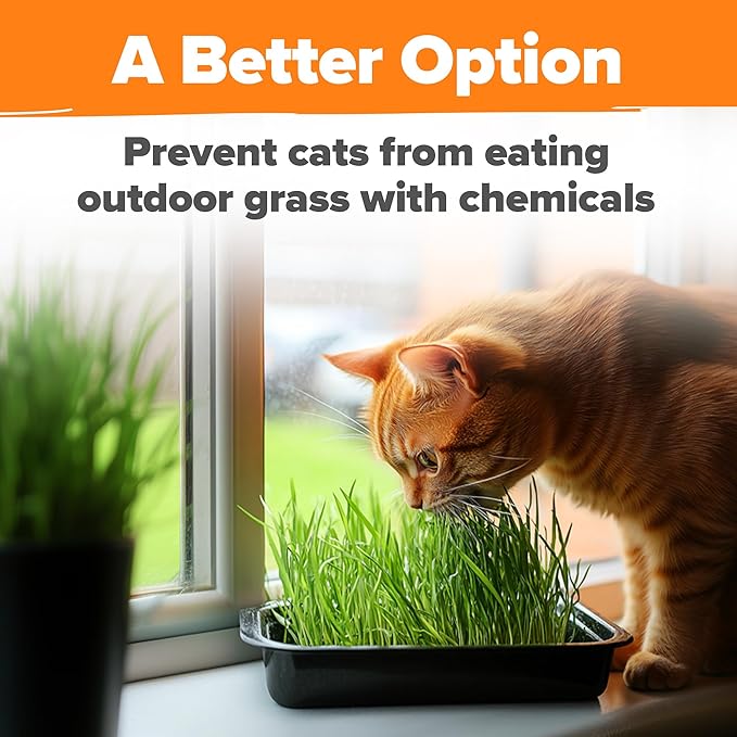 Home Grown 3200+ Indoor Cat Grass Refill – Non-GMO USA Grown Catnip, Oat & Alfalfa Seeds – Cat Grass Kit Replacement – Fast-Growing Pet Grasses for Cats’ Digestion & Hairball Relief
