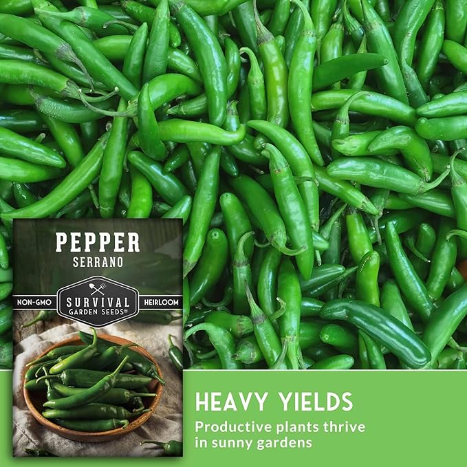 Mexican Serrano Pepper Seeds for Planting | Fresh Hot Chili & Green Hot Pepper Seeds – Heirloom Non-GMO Variety for Sauce, Salsa & Pickling – Survival Garden Seeds (3 Packs)