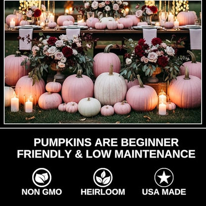 Warty Goblin Pumpkin Seeds – 10 Heirloom Seeds for Planting, Unique Warty Texture, Bright Orange, Small-Medium Size, Perfect for Halloween Decor and Fall Garden Fun