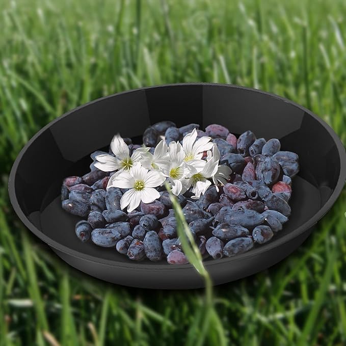 6 Pack Plant Saucer 12 14 16 18 20 22 Inch Plastic Plant Tray, Sturdy and Durable Flower Pot Container Accessories Plant Pot Saucers for Indoor and Outdoor (20 Inch, Black)