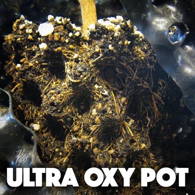 HTG Supply Ultra Oxy Pot Indoor/Outdoor Super Air-Pruning Black Planter - 12.5 Gallon - Single