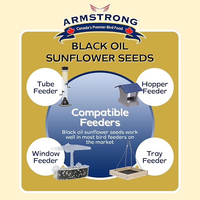 Armstrong Bird Food Black Oil Sunflower Bird Seed, 8 Pounds - for Northern Cardinals, Blue Jays and Hairy Woodpeckers - Ideal for Outside Feeders
