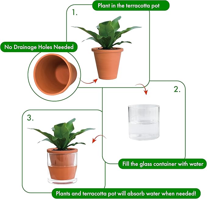 D'vine Dev 4 Inch Design Self Watering Pot for Indoor Plants, Terracotta Planter with Cylinder Glass Cup, Set of 3, 37-Z-A-1-T