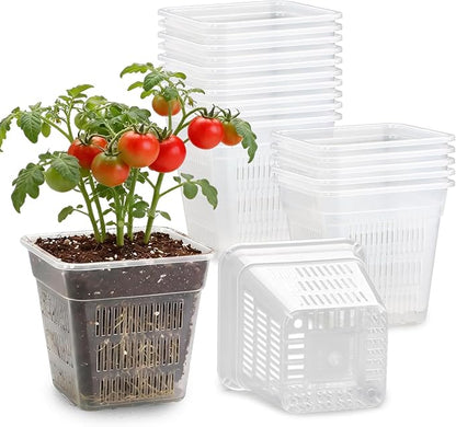BTPLASTIK Clear Square Nursery Pots, 15 Packs 6 Inch Air Pruning Square Pots, Transparent Plastic Plant Pots for Seed Starting, Root Cutting