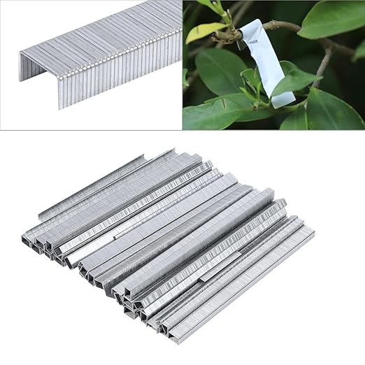 Zerodis 10000PCS Garden Bonsai Secateurs Branch Nail Tapener Staples, Silver, 0.6cm x 0.4cm x 10.6cm, for Fruit Vegetable Vine Tomato