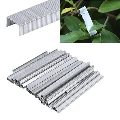 Zerodis 10000PCS Garden Bonsai Secateurs Branch Nail Tapener Staples, Silver, 0.6cm x 0.4cm x 10.6cm, for Fruit Vegetable Vine Tomato