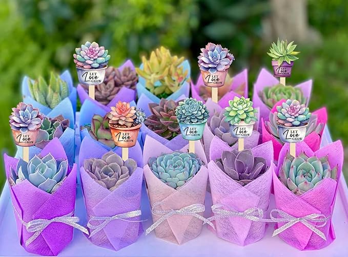 42 Pcs Let Love Grow Succulent Shape Wooden Stakes Wedding Favors Tags Planter Stakes Label Garden Marker Plant Sign for Wedding Gift Bridal Baby Shower Succulent Pot Decorations