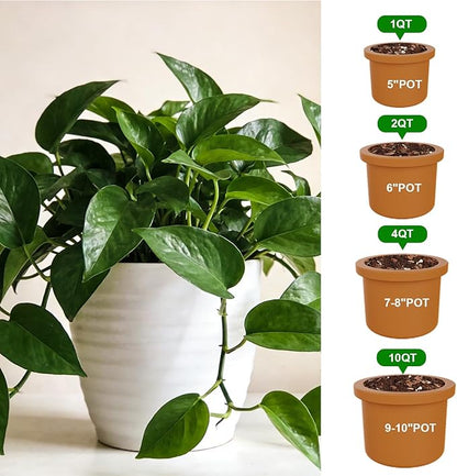 Pothos Potting Soil -100% Natural 10qt, Well-Draining and Aerated for Healthy Indoor Plants