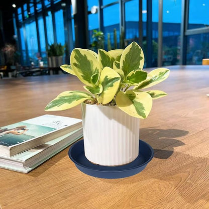 2 Pack of 20 21 inch Plant Saucer Round, Deep Plant Saucers for Pots, Heavy Duty Plastic Plant Drip Tray for Indoors Outdoor, Bird Bath Bowls, Plant Trays for Planter 19-22" (21 inch, Blue)