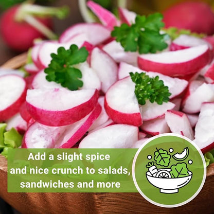 Sow Right Seeds - Champion Radish Seed for Planting - Non-GMO Heirloom Packet with Instructions to Plant a Home Vegetable Garden - Grow This Classic Red Variety - Spicy Cherry Type, Fast Growing (1)