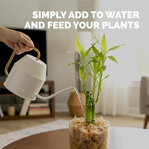 Lucky Bamboo Fertilizer, Complete Liquid Lucky Bamboo Plant Food, 32 oz (1 Quart)