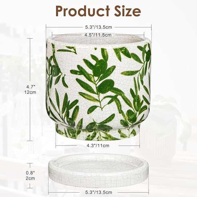 Small Ceramic Pot for Indoor Plants - 5.5 inch Plant Pot with Drainage Hole and Saucer Olive Leaf Decorative Planter Indoor Outdoor Flower Pots for Succulent Snake Pothos Plant Windowsill Home Garden