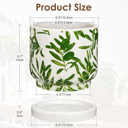 Small Ceramic Pot for Indoor Plants - 5.5 inch Plant Pot with Drainage Hole and Saucer Olive Leaf Decorative Planter Indoor Outdoor Flower Pots for Succulent Snake Pothos Plant Windowsill Home Garden