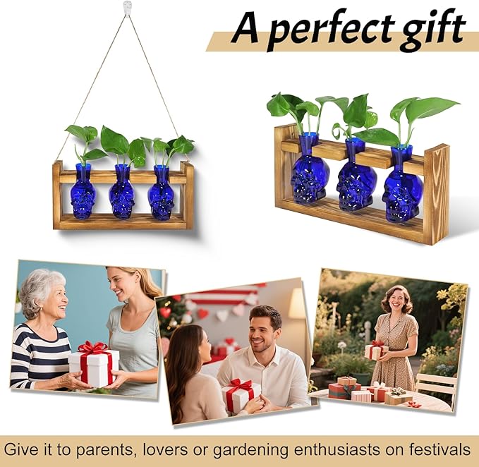 Plant Propagation Stations Hydroponics Halloween Decorations Skull Planter Vase Skulls Home Decor with Wooden Stand Gift(Blue)