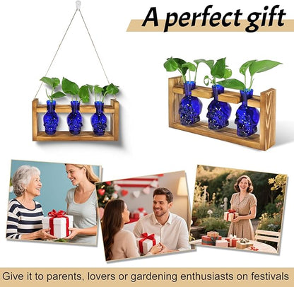 Plant Propagation Stations Hydroponics Halloween Decorations Skull Planter Vase Skulls Home Decor with Wooden Stand Gift(Blue)