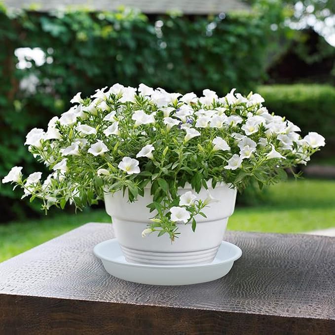 TITE 3 Pack Plant Saucer Heavy Duty Sturdy Drip Trays for Indoor and Outdoor (12 Inch, White)