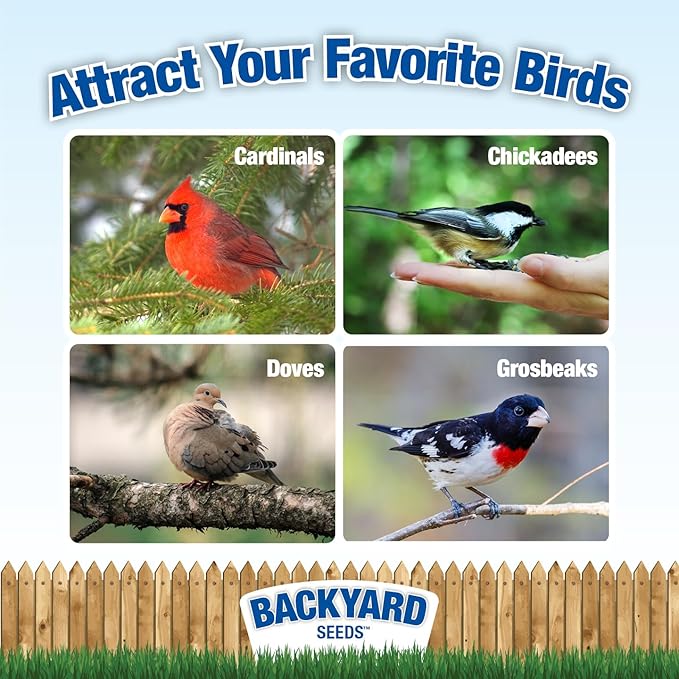 CountryMax Backyard Seeds Premium Bird Seed 40lbs - Supreme Wild Bird Food Blend for Outside Feeders, Large Bulk Bag of Wild Bird Food