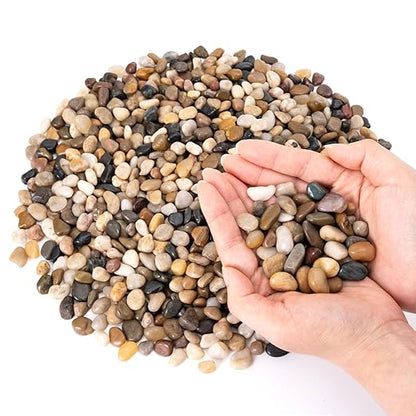 GreatBuddy 5-lb Pebbles for Indoor Plants, 3/8" Pea Gravel for Vases, Small Rocks for Succulents, Fish Tanks, Aquariums, Terrarium, Drainage Pebbles for Potted Plants, River Rocks for Landscaping