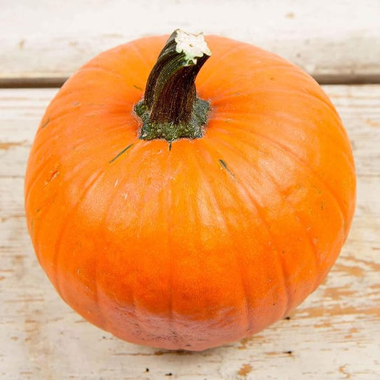 Eden Brothers Pumpkin Seeds - Small Sugar Non-GMO Seeds for Planting, 1 Ounce | High-Yielding, Fast Growing Vegetable Seeds, Plant During Warm Season, Zones 3, 4, 5, 6, 7, 8, 9, 10