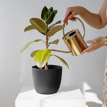 T4U 7 Inch Self Watering Planters Plastic Plant Pot, Modern Decorative Flower Pot/Window Box for All House Plants, Flowers, Herbs, African Violets, Succulents - Black, Set of 6