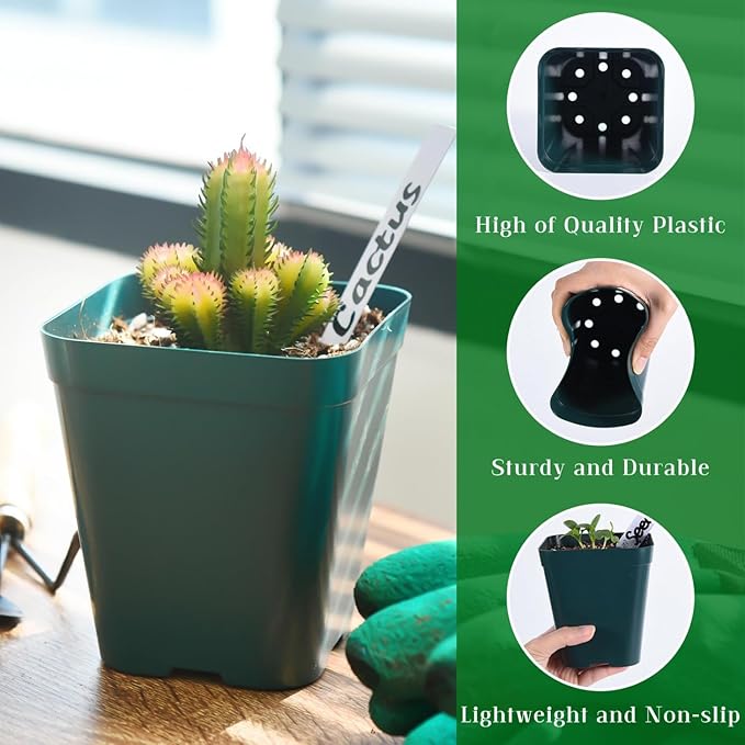 June Fox Plastic Seedling Pots, 60 Pack Square Nursery Pots 4 Inch, Small Plant Pots with Drainage Holes for Seedlings, Succulents, Cuttings (Green)