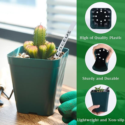 June Fox Plastic Seedling Pots, 60 Pack Square Nursery Pots 4 Inch, Small Plant Pots with Drainage Holes for Seedlings, Succulents, Cuttings (Green)