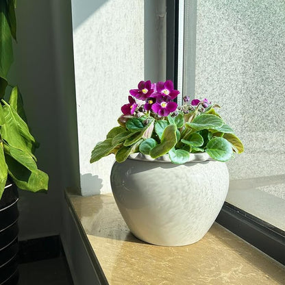 African Violet Flower Pot Ceramic Self Watering Flower Pot 6.5 * 4.6 * 4 inch Simple Plant Self Watering Pot Indoor Flowers High Absorption Herbaceous Flower Pots Modern Decor Pots