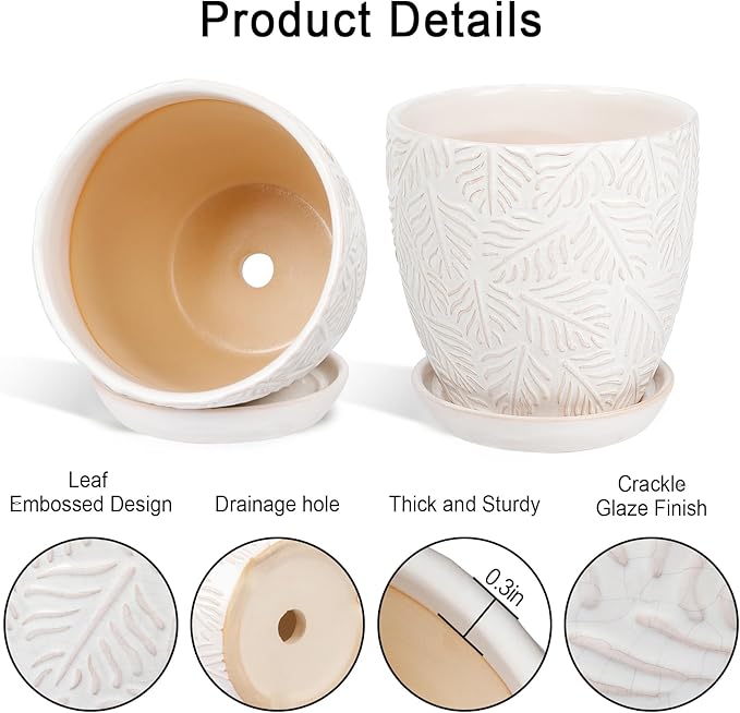 6 Inch Ceramic Plant Pots, Indoor Plant Pots with Drainage Hole & Saucer, Flower Pots, Unique Crackle Glaze Design, White Glaze - Set of 2