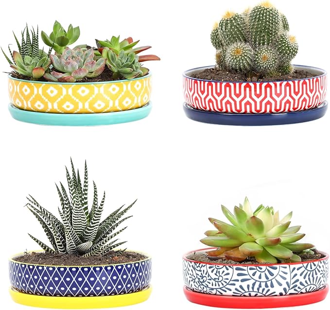 Selamica Ceramic Succulent Pots, Shallow Succulent Planters with Drainage Hole & Saucer, Indoor Plant Pots for Cactus, Home Decor，Assorted Colors,6 inch，Set of 4