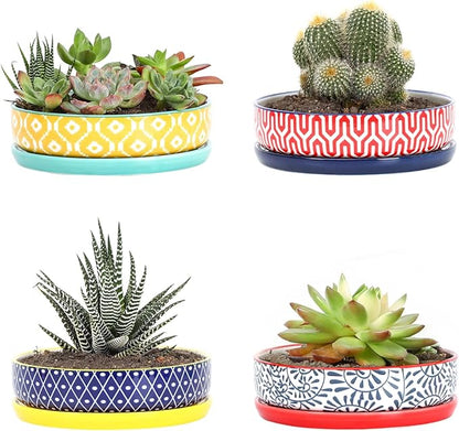Selamica Ceramic Succulent Pots, Shallow Succulent Planters with Drainage Hole & Saucer, Indoor Plant Pots for Cactus, Home Decor，Assorted Colors,6 inch，Set of 4