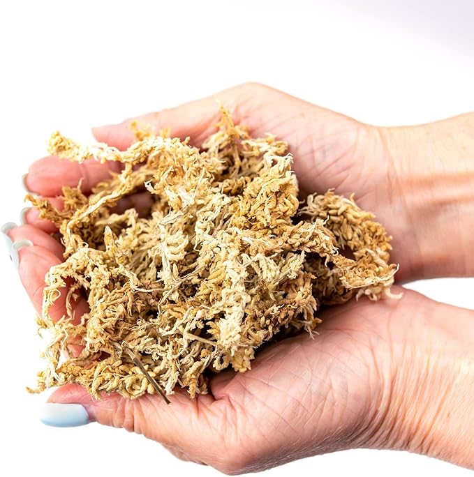 Gardenera Premium New Zealand Sphagnum Moss - Organic Hand Mixed Long Fibered Sphagnum Moss Orchid - 4 Quart