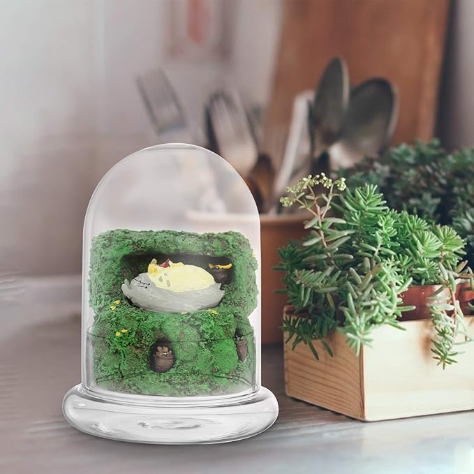 Cabilock Glass Terrarium Bottle 6.10X4.72X4.72In with Clear Dome for Micro Landscape Display and Plant Humidity Control Indoor Garden Decor
